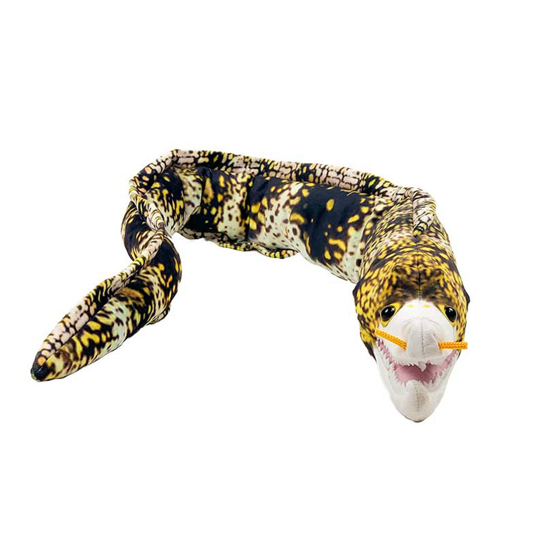 おさかなぬいぐるみ クモウツボ