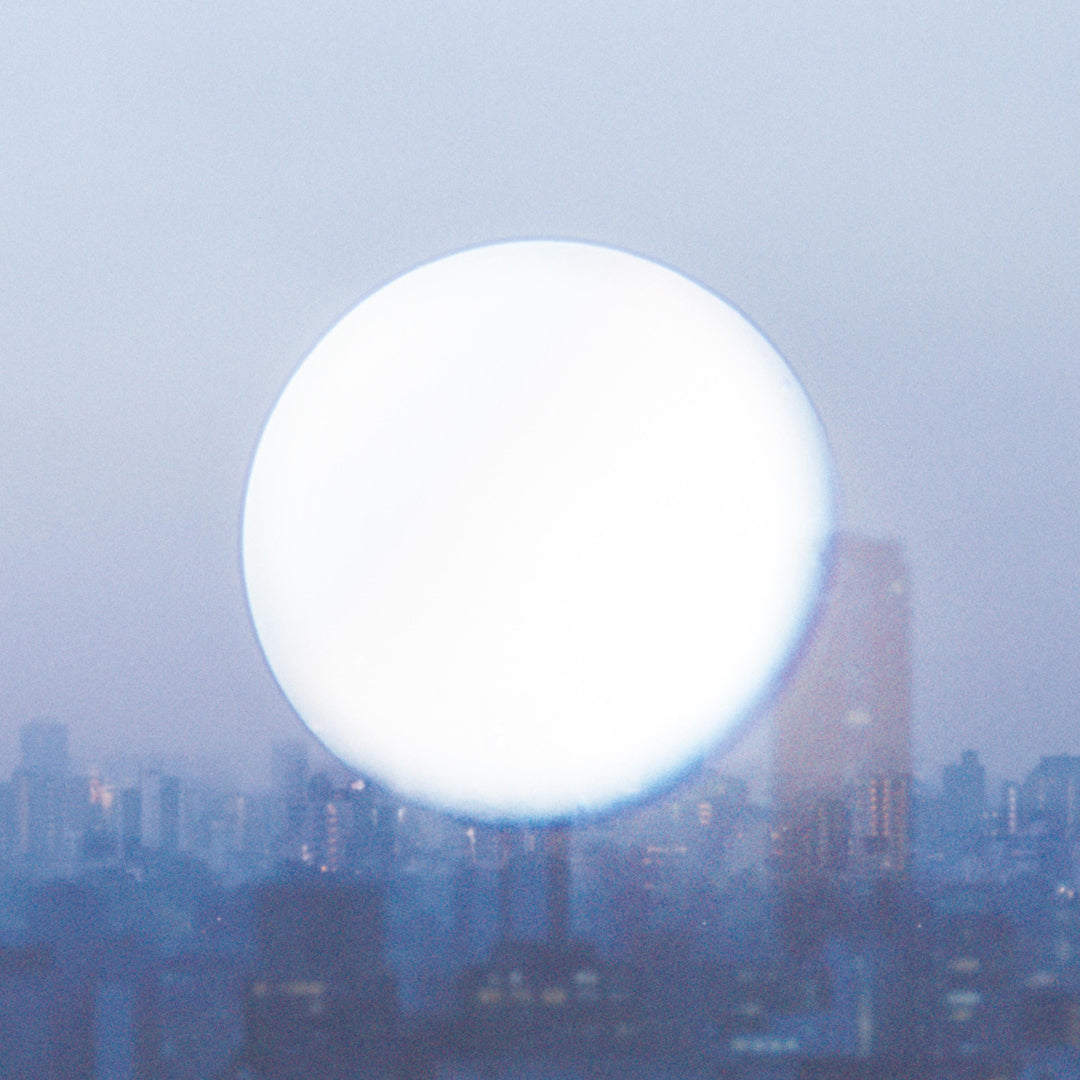 初回生産限定盤】極夜において月は語らず（2CD） – Hi, mu-mo