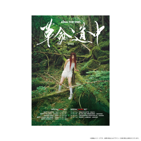革命道中限定ポスター