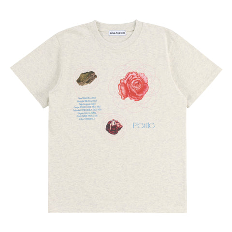 PICNIC TOUR Tシャツ（アッシュ）