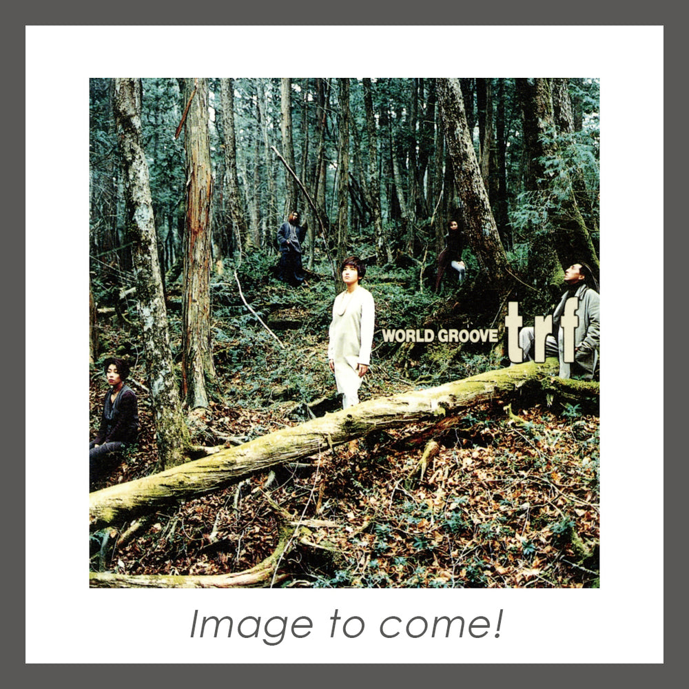 【初回生産限定盤】WORLD GROOVE(2Vinyl)