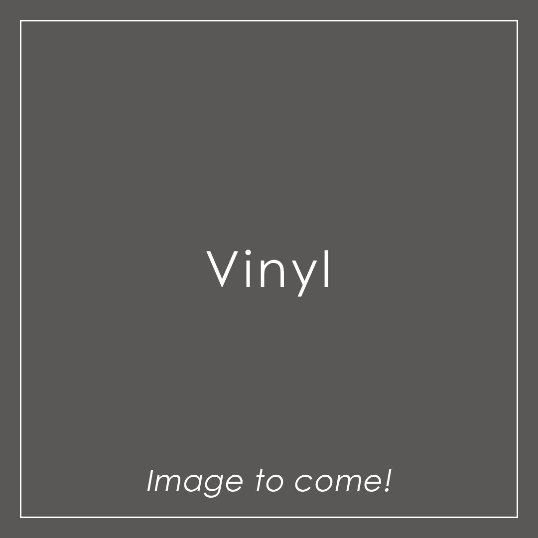 頭文字[イニシャル]D テーマソングコレクション vol.1(Vinyl)
