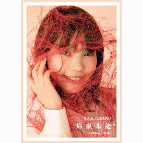 AiNA THE END "帰巣本能"【DVD】