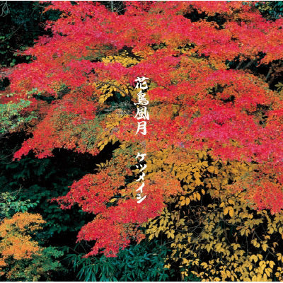 花鳥風月