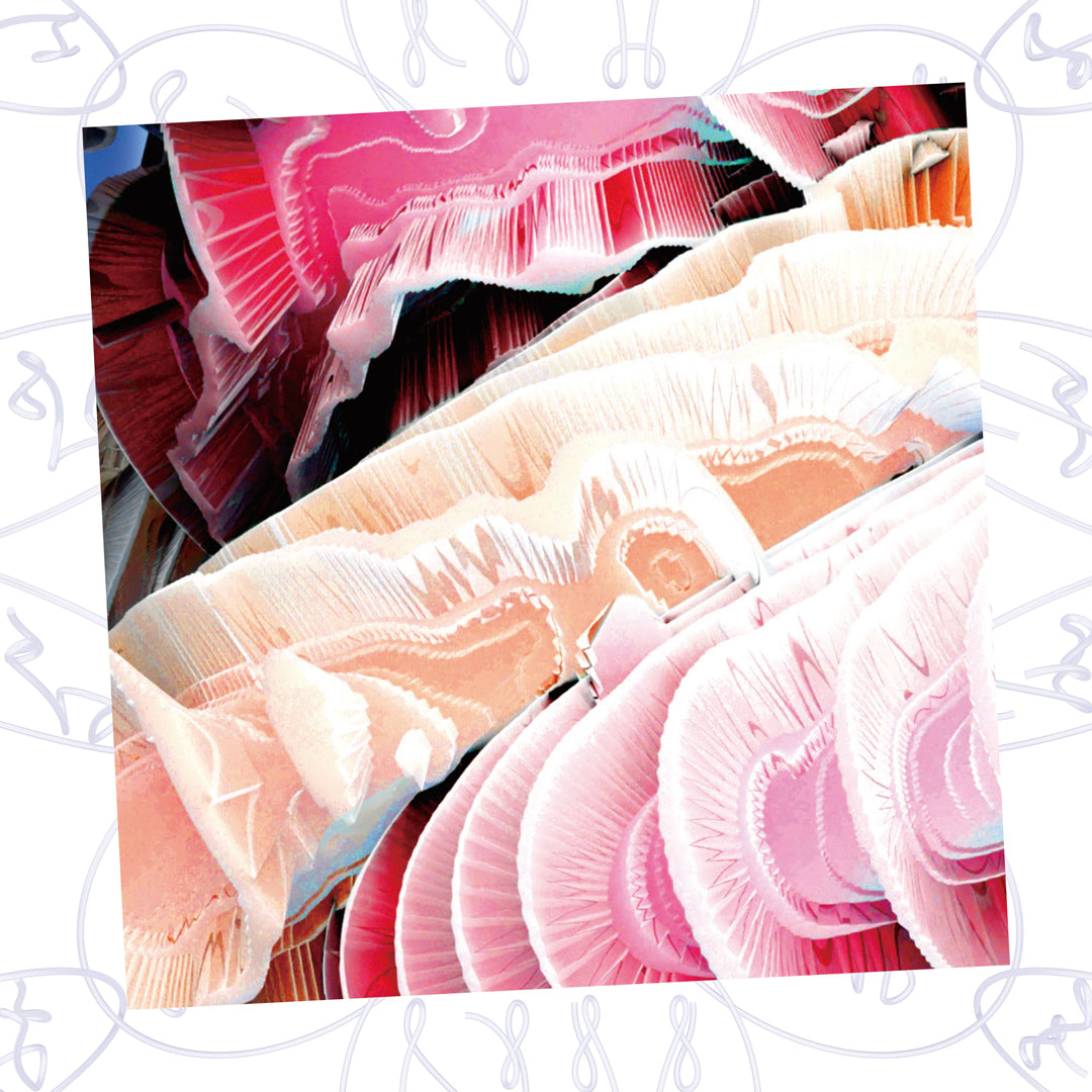 【初回生産限定盤】NV（CD）