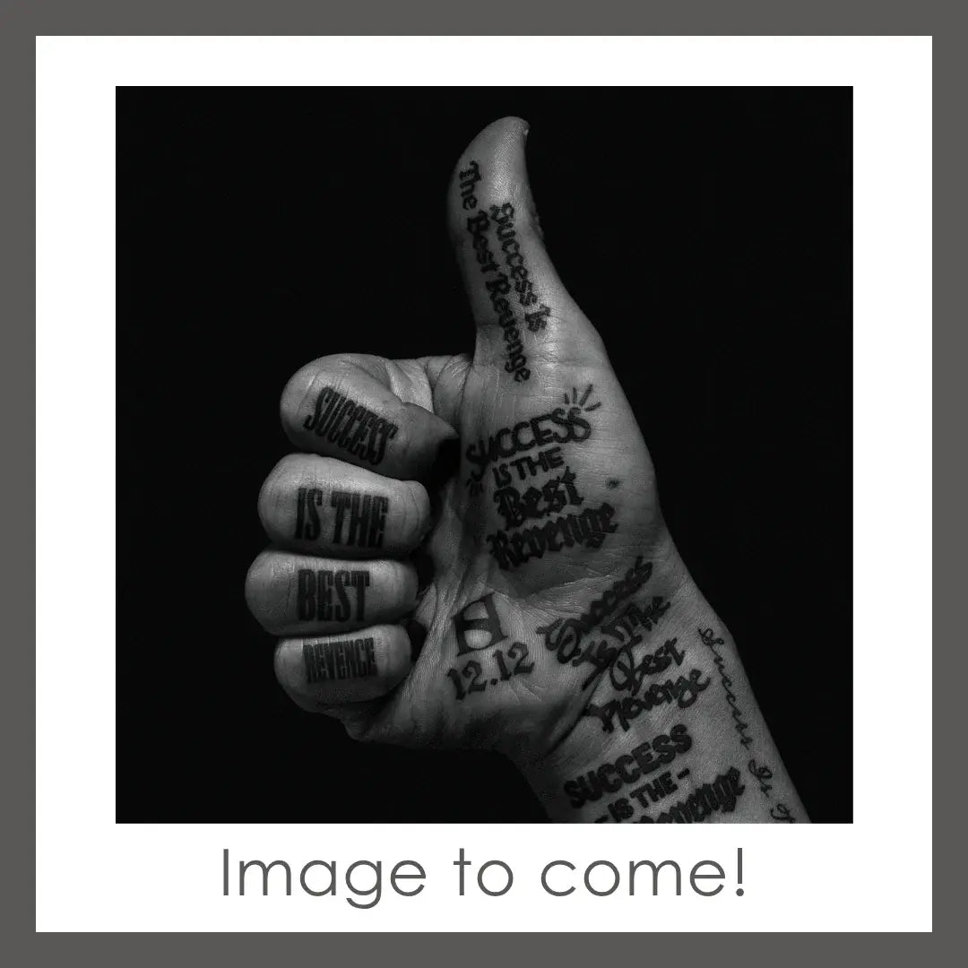 【初回生産限定】Success Is The Best Revenge -Deluxe Edition-(CD+DVD)