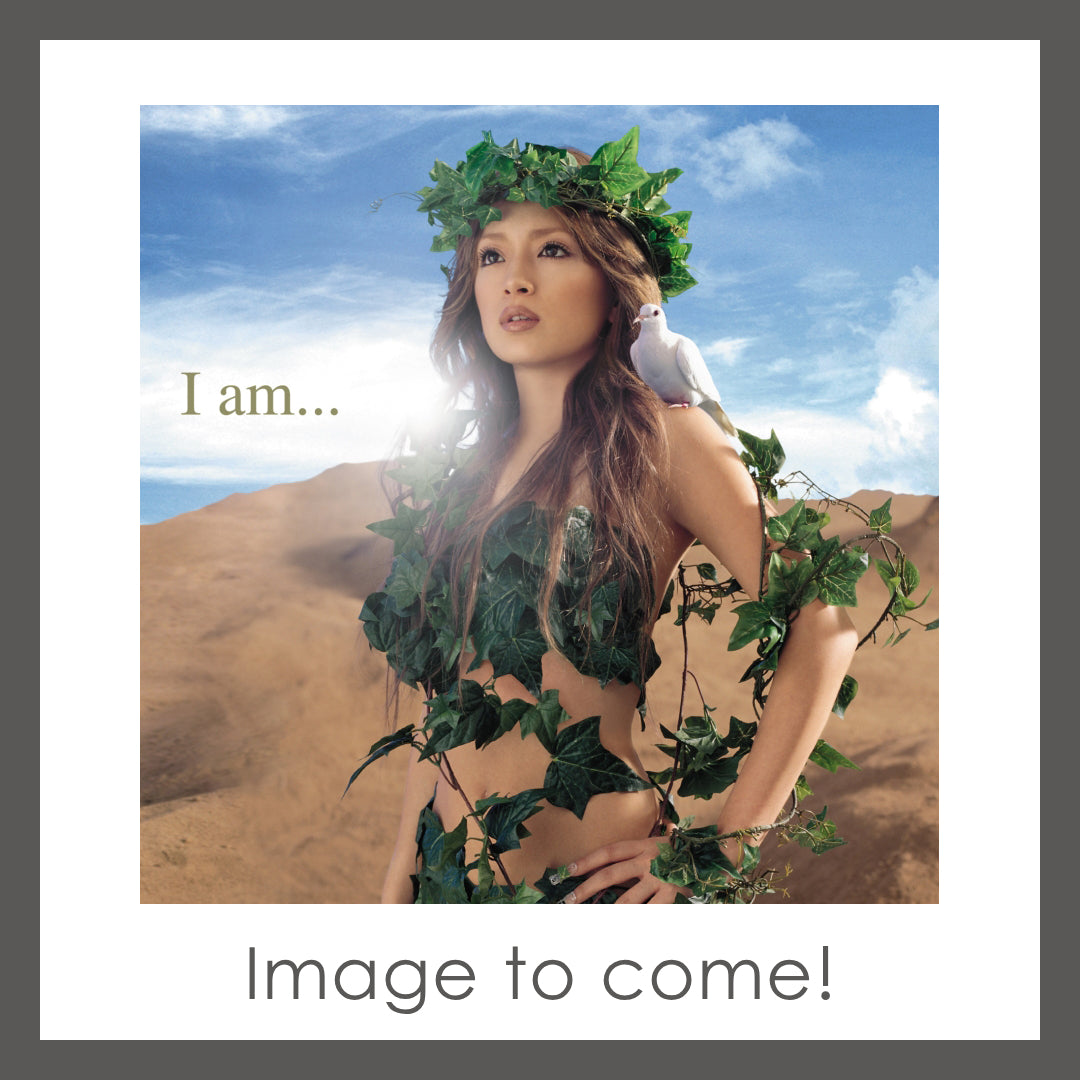 【初回生産限定盤】I am...（2Vinyl(12インチ)）