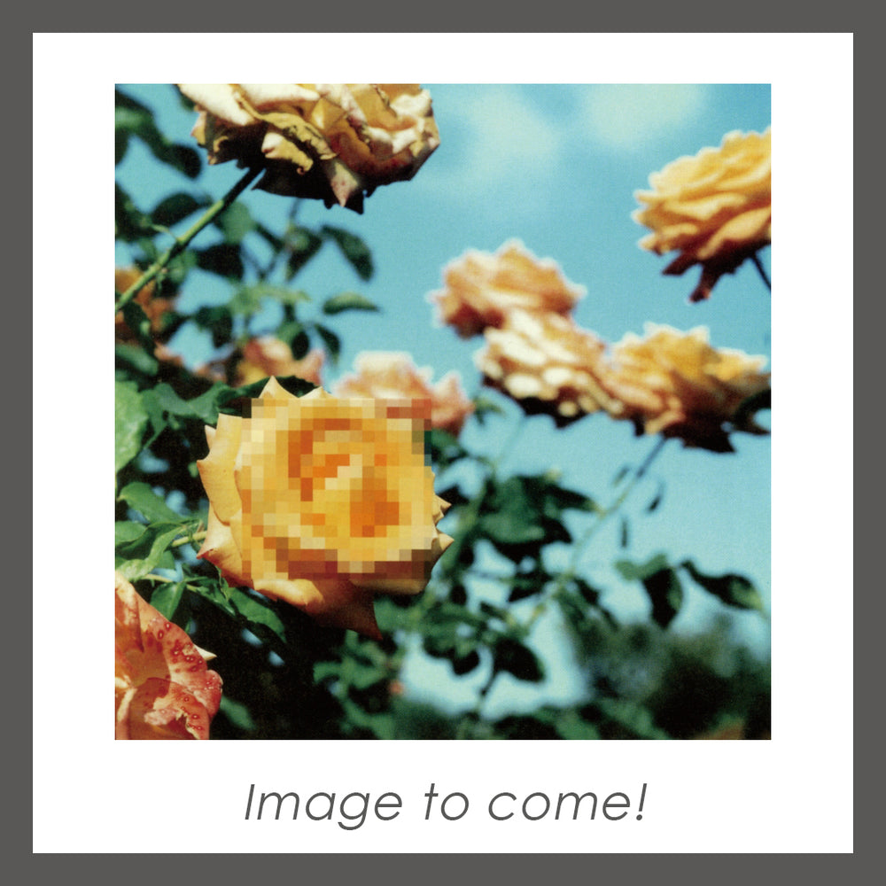【初回生産限定盤】Relation(2Vinyl)