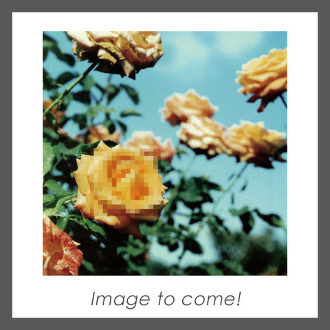 【初回生産限定盤】Relation(2Vinyl)