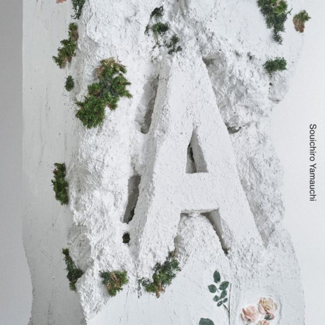 A（CD）