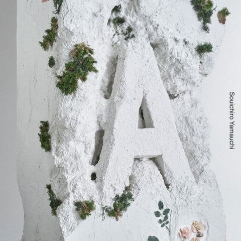 A（CD）