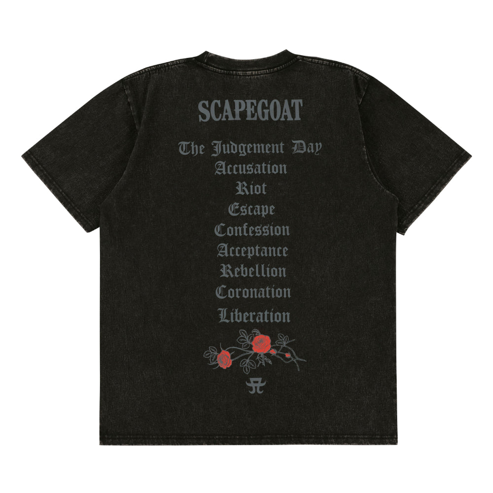 ayumi hamasaki JAPAN TOUR 2026 A -Scapegoat- – Hi, mu-mo