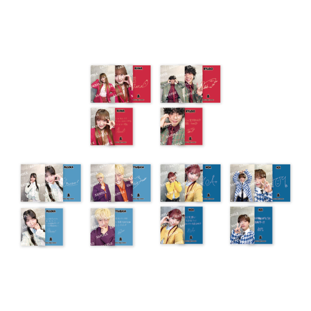 ランダムトレーディングカード vol.1【P PACK】