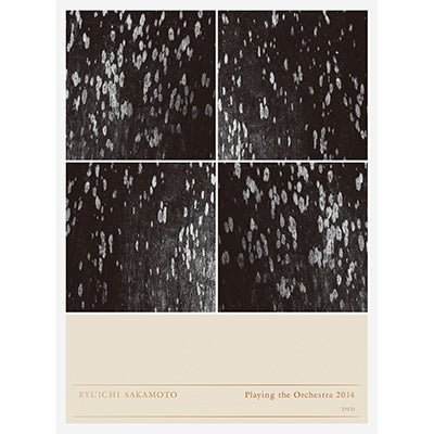 Ryuichi Sakamoto | Playing the Orchestra 2014（DVD）