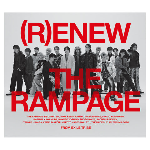 (R)ENEW(2CD+DVD:Document盤)