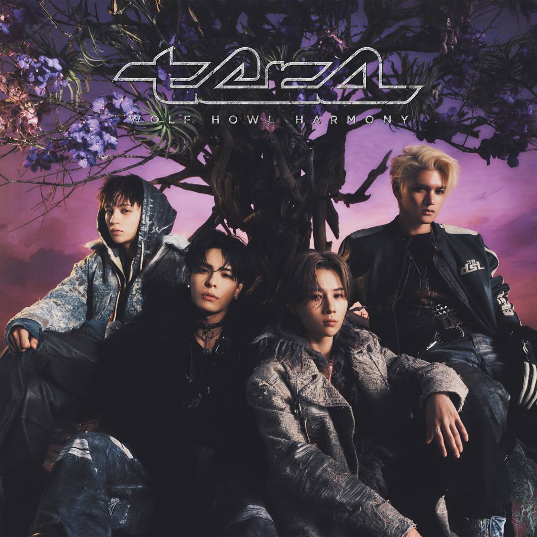 【Member All ver. 】tera(CD)