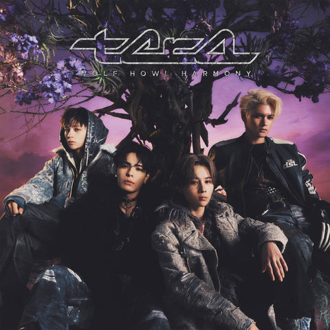 【Member All ver. 】tera(CD)