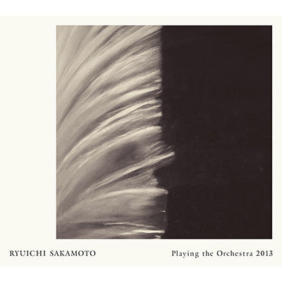 Ryuichi Sakamoto | Playing the Orchestra 2013(CD)