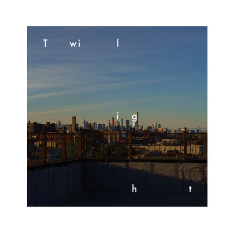 【初回生産限定盤】Twilight（Vinyl）