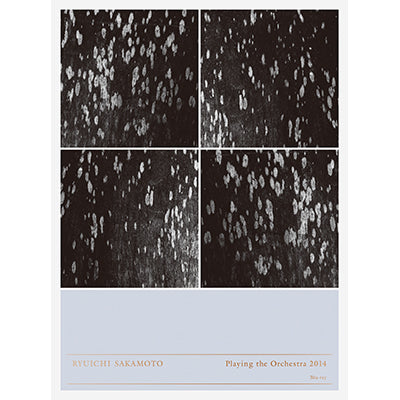 Ryuichi Sakamoto | Playing the Orchestra 2014（Blu-ray）