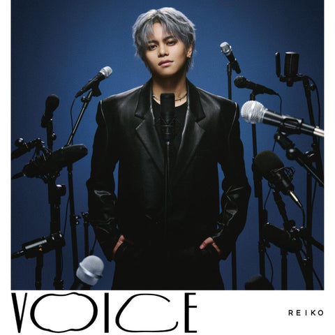【初回仕様：通常盤】VOICE(CD)