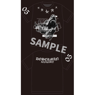 DOBERMAN INFINITY LIVE TOUR 2019 「5IVE ～必ず会おうこの約束