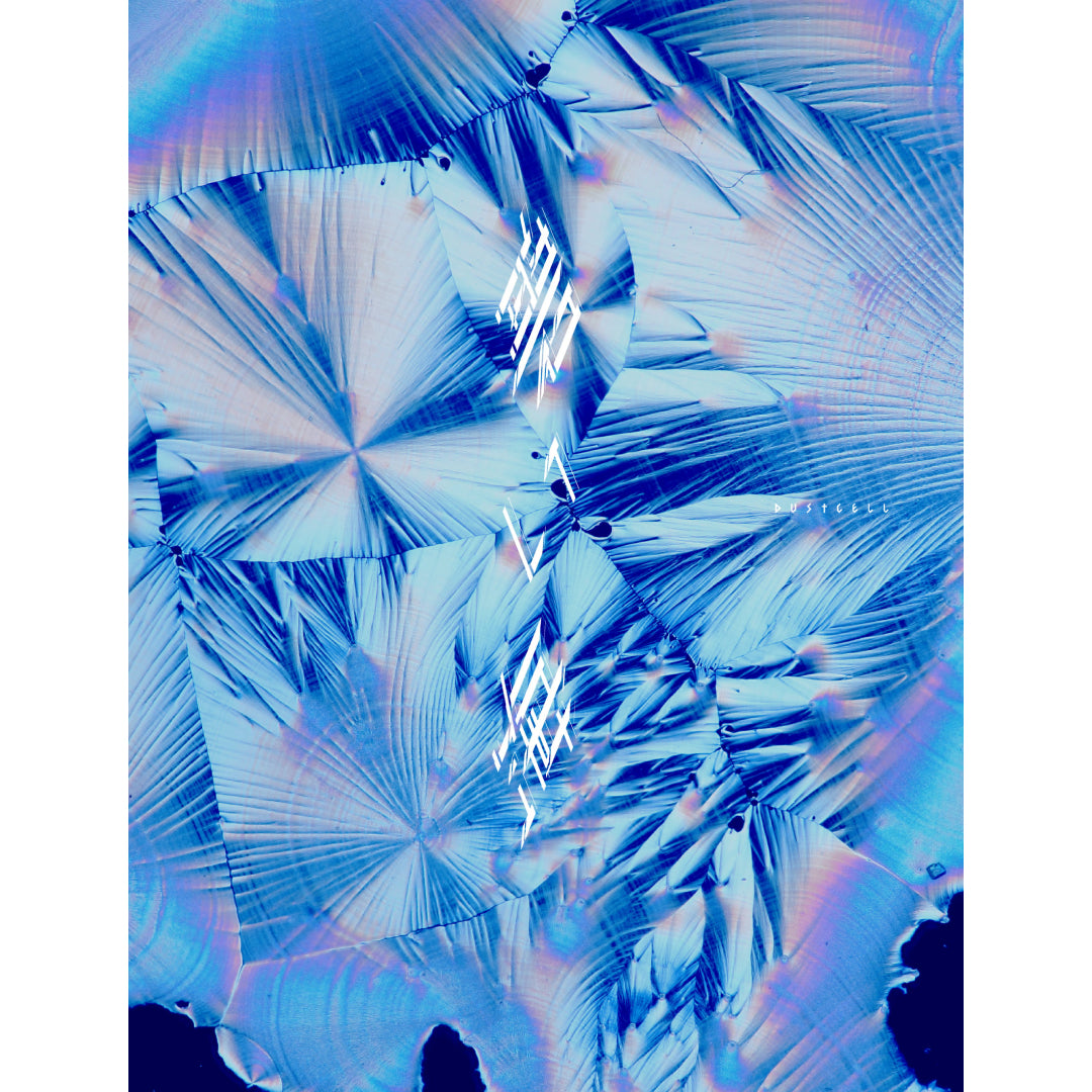 【初回生産限定盤】碧い海（CD）